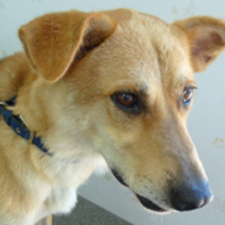 マーク　行き場がありません！