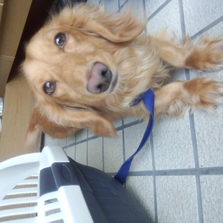 ありがとうございました