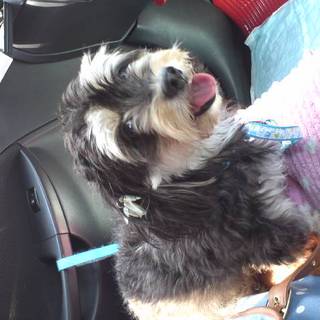 急募お願いします。