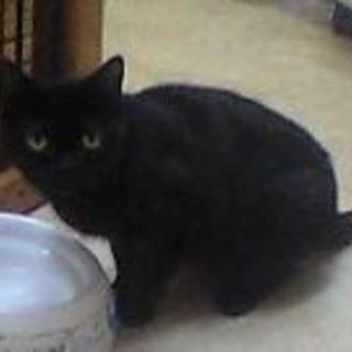 現在トライアル中