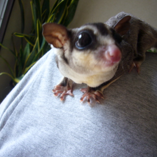 沢山のご応募有難うございました