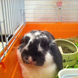 可愛がってくれる方募集！！