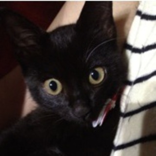 どんぐりお目目の僕、カワイイよ!!!