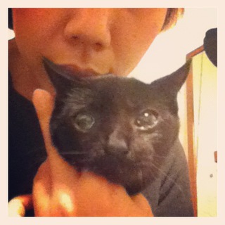 里親みつかりました。