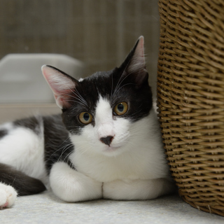 保護は継続しております