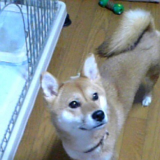 どうしても引っ越しをしなくてはいけなくて