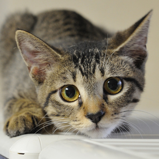 保護は継続しております。