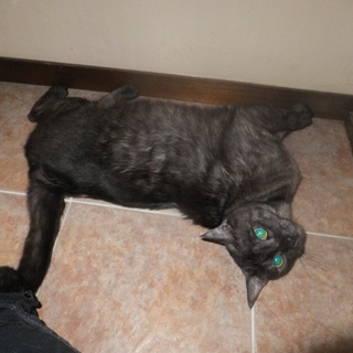 ありがとうございました