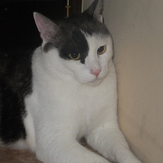 ありがとうございました