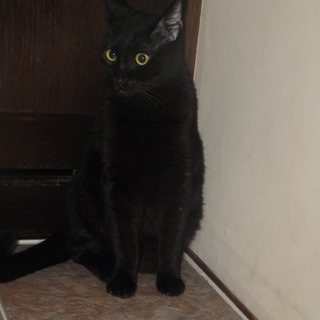 良いご縁がありますように