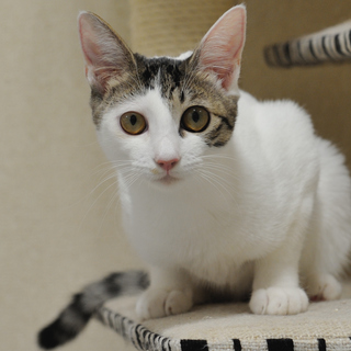 保護は継続しております