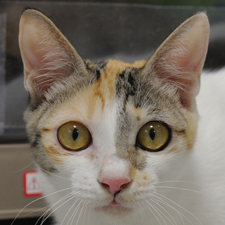 保護は継続しております