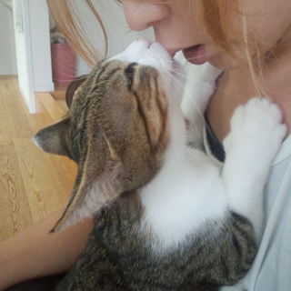 兄弟飼い募集！飼い方サポート付き！