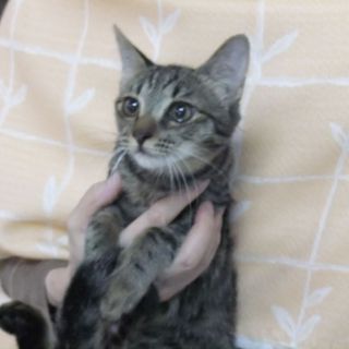 ◆◆ウルウルお目目◆◆