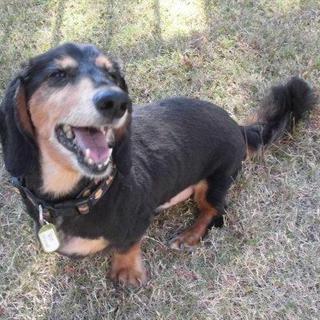 ありがとうございます！