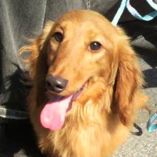 ありがとうございました☆