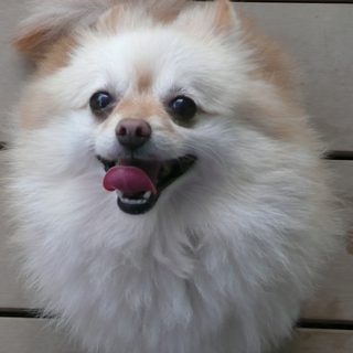 募集　中断中です