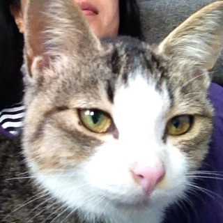 [現在取引中]ふわふわ綺麗な顔の男の子