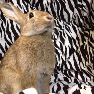 話し合い中です。