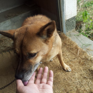 優しい家族に迎えて頂きました。ありがとうございました。