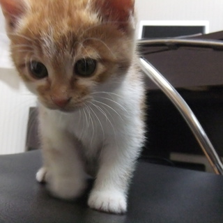 この度は、ありがとうございました。