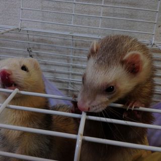 ありがとうございました！