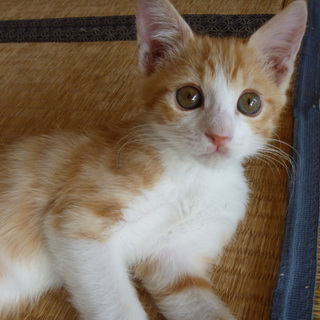 目がくりっくり☆