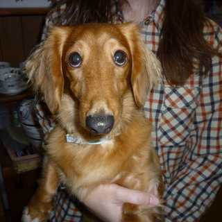 ありがとうございました