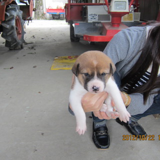 ありがとうございました