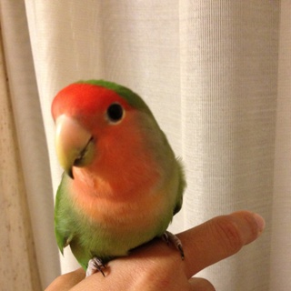 たくさんのお問い合わせありがとうございました！