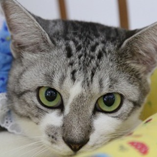 家族が決まりました。ありがとうございました♪