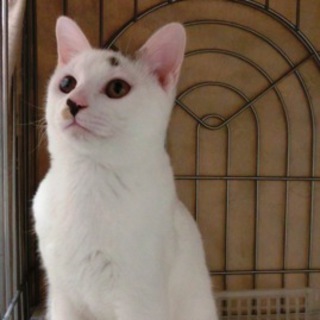 大豆（仮名）６ヶ月オス