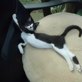 ちょっぴりﾋﾞﾋﾞﾘやで。一人遊びが好きです・・。