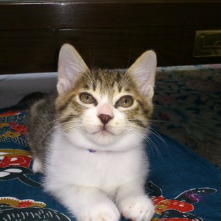 優しいご家族と巡り合うことができました！