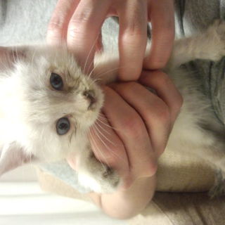 幸せにしてください<m(__)m>