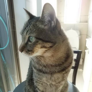 ちょっぴりﾋﾞﾋﾞﾘや。でもかっこいい子です・。