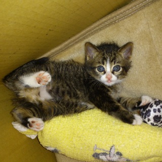 但竄・｜ヱ､但竄・｜ヱｩ但竄・｜ｑｳ但竄・｜ｑｫ但竄・｜ｑｦﾃ・ﾃヱｦ但竄・｜ｑ但竄・｜ｑｳ但竄・｜η湯A竄・｜ｑｵ