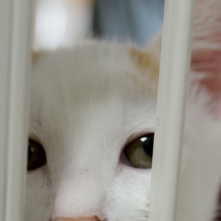 保護は継続しております