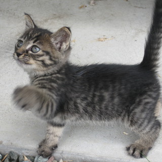 ありがとうございました！！