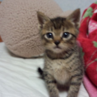 なついています♪