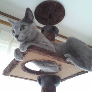 たくさんのお問い合わせありがとうございました