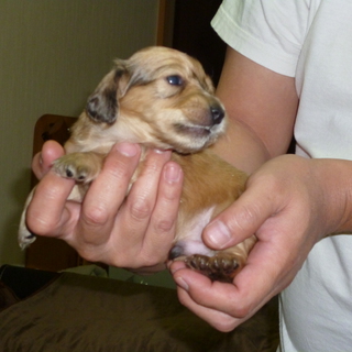 多数の応募ありがとうございました。