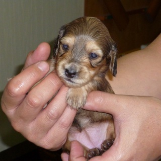 多数のご応募ありがとうございました。