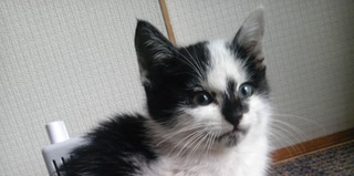 生後２ヶ月男の子です