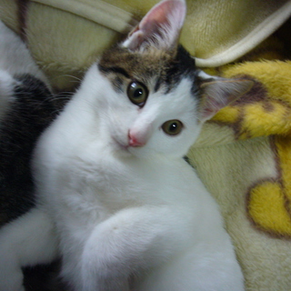 明るい家庭に迎えていただけました！