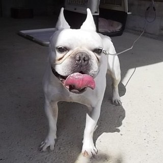 愛情を注いでくれる方お願いします・急募・