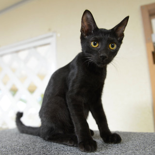 保護は継続しております