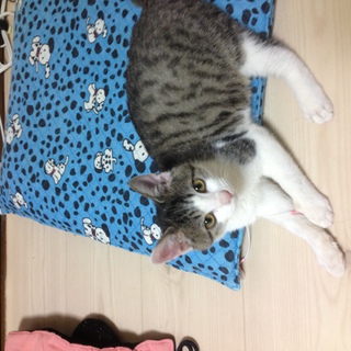 ありがとうございました