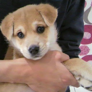 ありがとうございました！