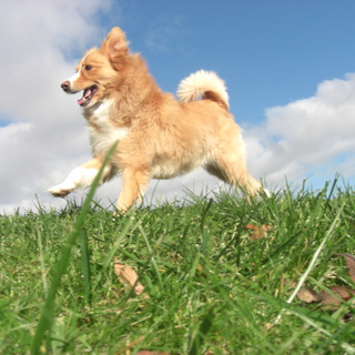 ご連絡下さった皆様、どうもありがとうございました
